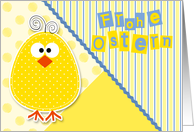 German Easter Chick in Blue and Yellow for Children Blank card