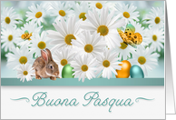 Italian Easter White Daisy Garden with Easter Bunny and Eggs card