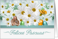 Spanish Easter White Daisy Garden with Easter Bunny and Eggs card