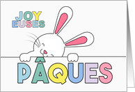 FRENCH Easter Bunny Pastel Hues card