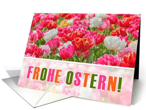 GERMAN Easter Frohe Ostern Pink Tulip Garden card (1603636)
