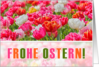 GERMAN Easter Frohe Ostern Pink Tulip Garden card