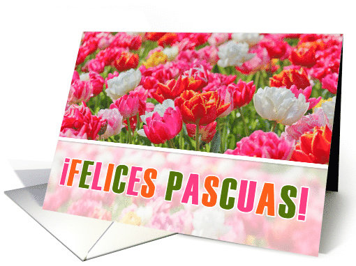 SPANISH Easter Joyeuses Paques Pink Tulip Garden card (1603642)