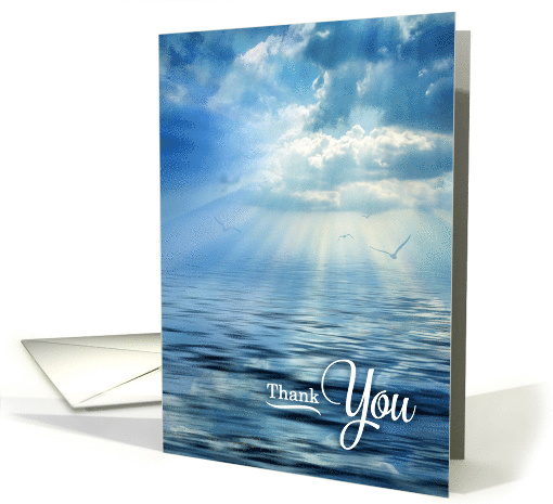 Sympathy Thank You Blue Oceanview Sunlight and Seagulls card (1606796)