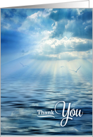 Thank You Blue Oceanview Sunlight and Seagulls card