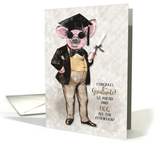 Funny Graduation Congrats Hog All the Attention card (1611790)