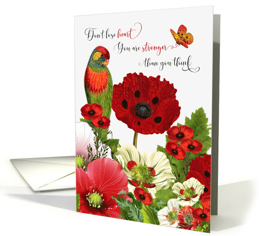Encouragement Lorikeet Parrot and Poppy Garden card (1613122)
