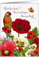 Encouragement Lorikeet Parrot and Poppy Garden card