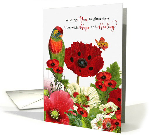 Get Well Lorikeet Parrot and Poppy Garden card (1613740)