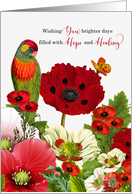Get Well Lorikeet Parrot and Poppy Garden card