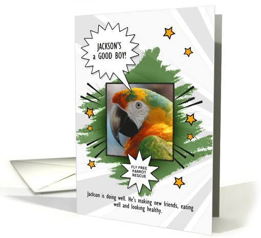 Parrot Surrender Note Home Comic Book Style Custom Photo card