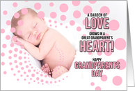 for Great Grandparents on Grandparents Day Baby Girl in Pink card