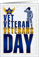 Air Force Veterans Day Blue and Gold Salute card