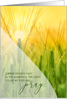 Cancer Get Well Pray You’ll Win this Fight Sunlit Summer Grasses card