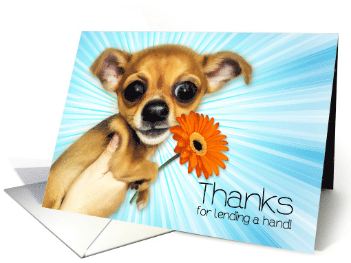 Thanks for Lending a Hand Cartoon Chihuahua Puppy card (1631992)