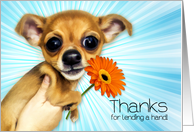 Thanks for Lending a Hand Cartoon Chihuahua Puppy card