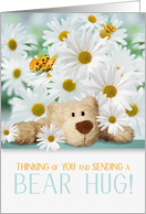 for Kids Thinking of You and Sending a Bear Hug and Daisies card
