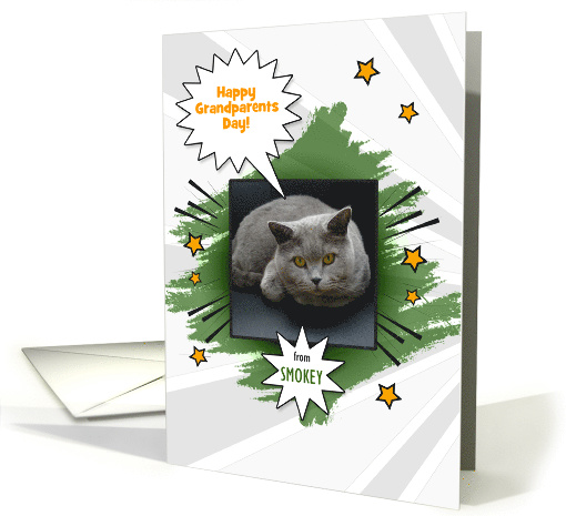 Grandparents Day from the Cat or GrandCat with Photo and Name card