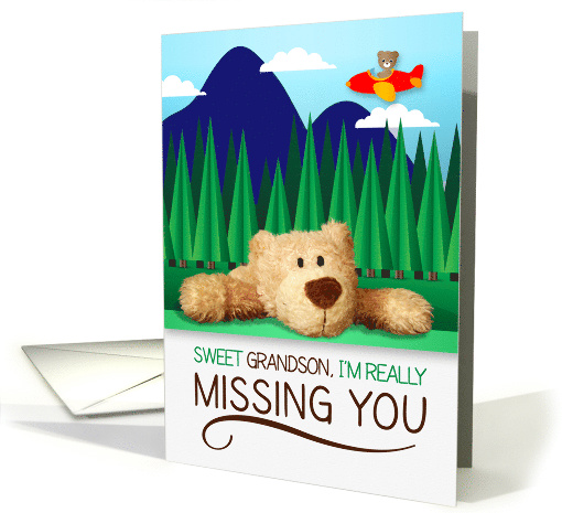for Young Grandson Missing You with Airplane and Teddy Bear card