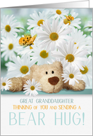 for Young Great Granddaughter Thinking of You Bear Hug and Daisies card