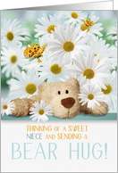 for Young Niece Thinking of You Bear Hug and Daisies card