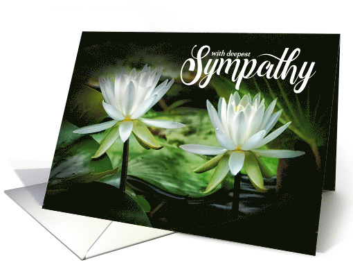Sympathy White Waterlilies Restore Soul of the Departed card (1684696)