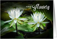 In lieu of Flowers Funeral White Waterlilies card