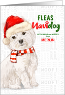 From the Dog Christmas West Highland White Terrier Feliz Navidog card
