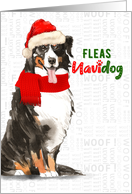 Funny Christmas Bernese Mountain Dog Fleas NaviDOG Pet Lover card