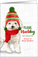 Business Christmas Bichon Frise Dog Fleas NaviDOG Holiday card