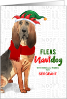 From the Dog Christmas Bloodhound Funny Fleas NaviDOG Custom card