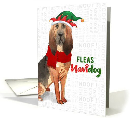 Funny Christmas Bloodhound Fleas NaviDOG Dog Lover's Holiday card