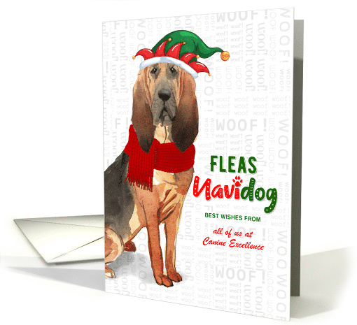 Bloodhound Dog Rescue Funny Christmas Fleas NaviDOG Name card