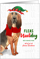 Bloodhound Dog Rescue Funny Christmas Fleas NaviDOG Name card