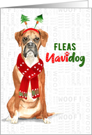 Christmas Boxer Dog Funny Fleas NaviDOG card