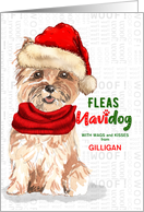 From the Dog Christmas Cairn Terrier Funny Fleas NaviDOG Custom card