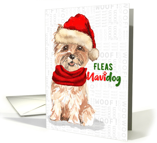Christmas Cairn Terrier Dog Funny Fleas NaviDOG card (1690100)