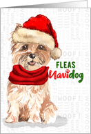 Christmas Cairn Terrier Dog Funny Fleas NaviDOG card