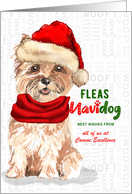 Business Cairn Terrier Christmas Dog Funny Fleas NaviDOG Custom card