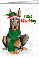 Funny Christmas Doberman Fleas NaviDOG Pet Lover Holiday card