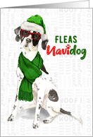 Funny Christmas English Pointer Fleas NaviDOG Pet Lover Holiday card