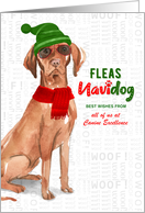 Business Hungarian Vizsla Fleas Navidog Christmas Dog Custom card