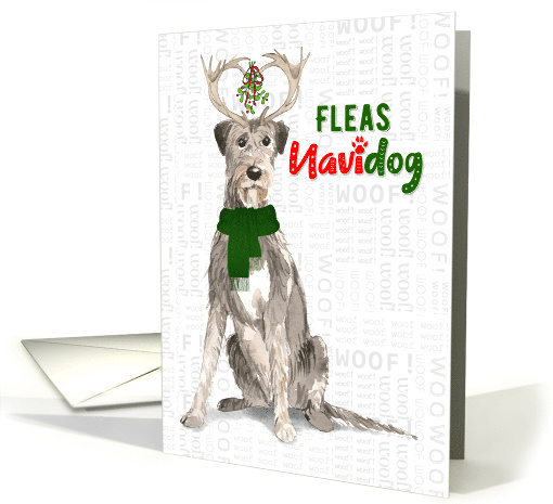 Funny Christmas Irish Wolfhound Fleas NaviDOG Pet Lover Holiday card