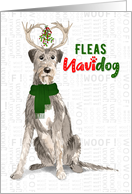 Funny Christmas Irish Wolfhound Fleas NaviDOG Pet Lover Holiday card