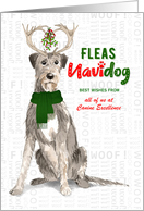 Business Irish Wolfhound Fleas Navidog Christmas Dog Custom card