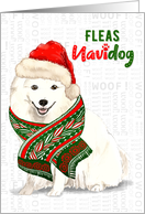 Funny Christmas Japanese Spitz Fleas NaviDOG Pet Lover Holiday card