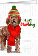 Funny Christmas Labradoodle Fleas NaviDOG Pet Lover Holiday card