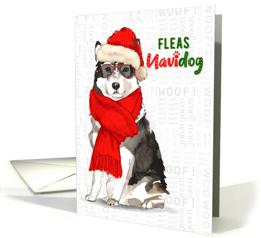 Funny Christmas Malamute Fleas NaviDOG Pet Lover Holiday card