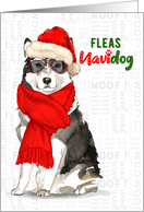 Funny Christmas Malamute Fleas NaviDOG Pet Lover Holiday card