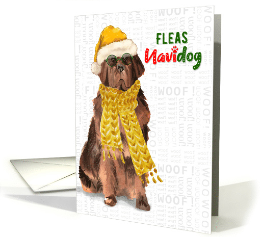 Funny Christmas Newfoundland Fleas NaviDOG Pet Lover Holiday card
